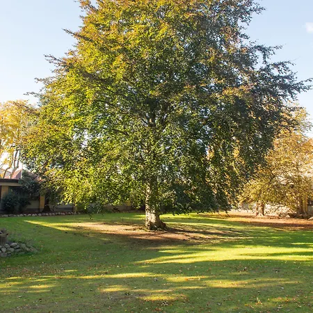 Мини-отель Blommenslyst Kro